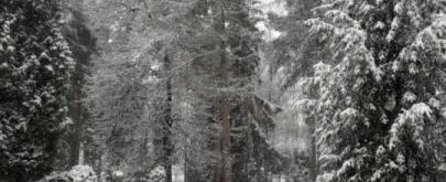 Exteriér css 03.02.2023 - 7_zmensena(1)