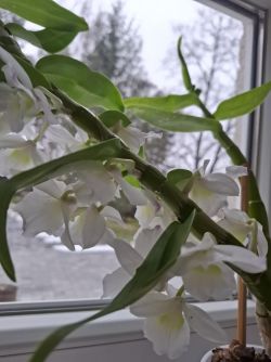 21.01.2025 a (5)_zmensena
