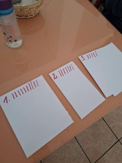 18_zmensena