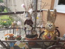 3_zmensena