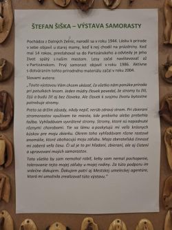 2_zmensena